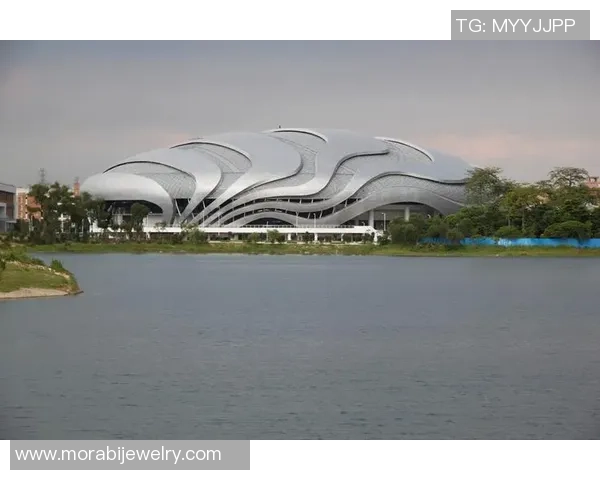 极限运动的转型之路：探寻广州极限运动队的成长与挑战